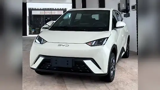 Foto de um byd dolphin mini