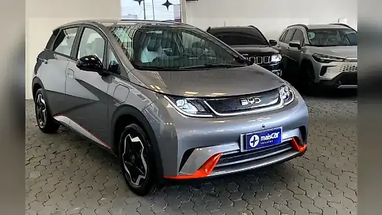Foto de um byd dolphin