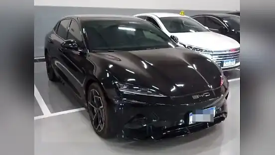 Foto de um byd seal
