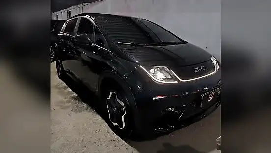 Foto de um byd dolphin