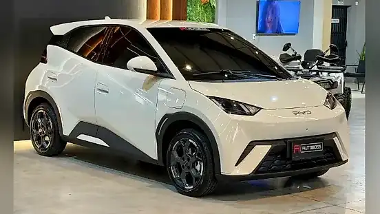 Foto de um byd dolphin