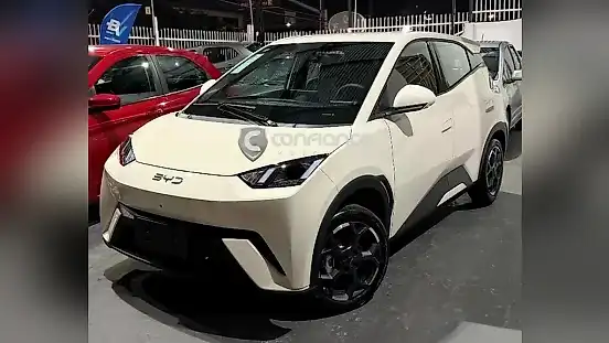 Foto de um byd dolphin mini