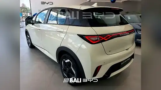 Foto de um byd dolphin