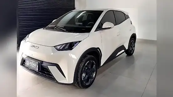 Foto de um byd dolphin