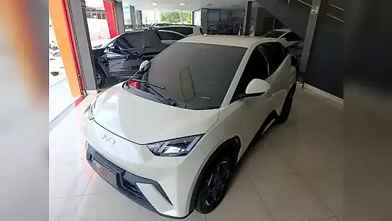 Foto de um byd dolphin mini