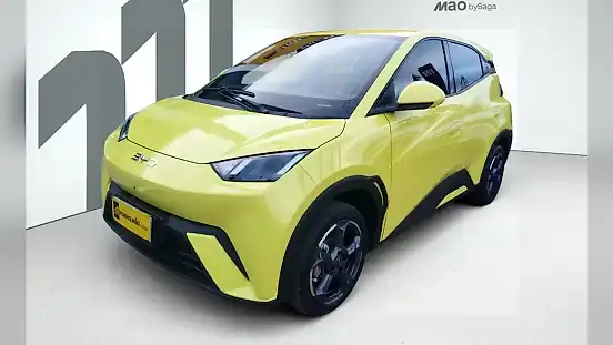 Foto de um byd dolphin