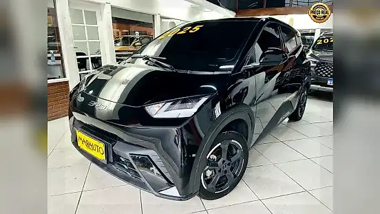 Foto de um byd dolphin mini