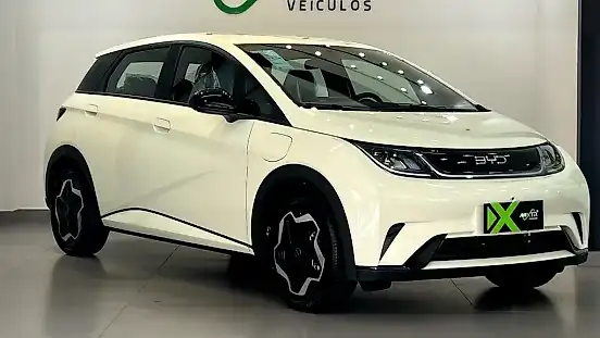 Foto de um byd dolphin