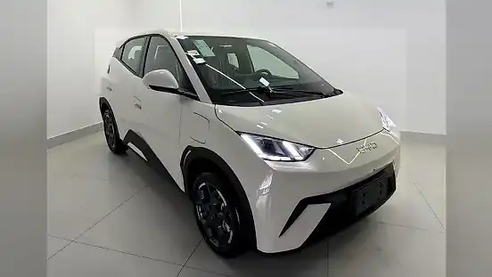 Foto de um byd dolphin