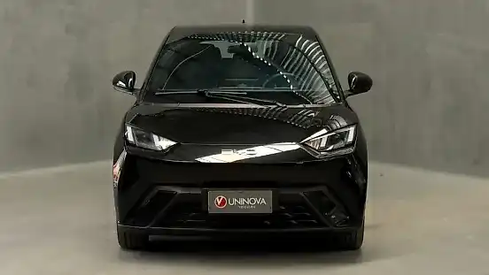 Foto de um byd dolphin mini