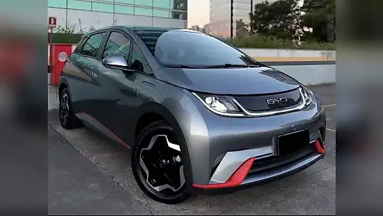 Foto de um byd dolphin