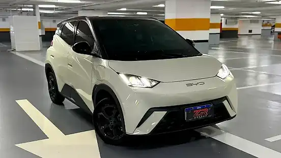 Foto de um byd dolphin mini