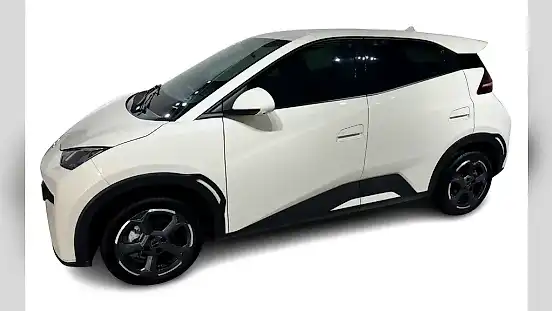 Foto de um byd dolphin mini