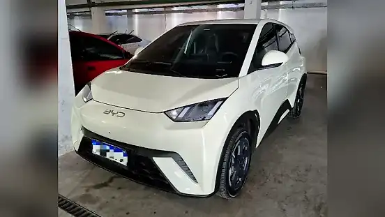 Foto de um byd d1