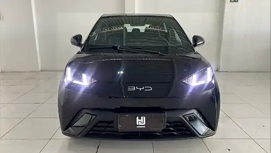 Foto de um byd dolphin