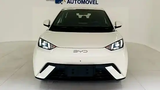Foto de um byd dolphin