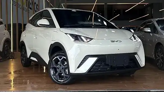 Foto de um byd dolphin