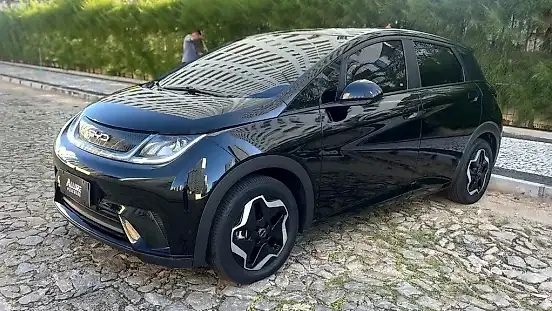 Foto de um byd dolphin