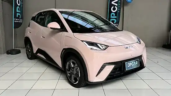 Foto de um byd dolphin mini