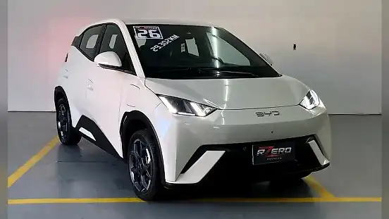 Foto de um byd dolphin mini