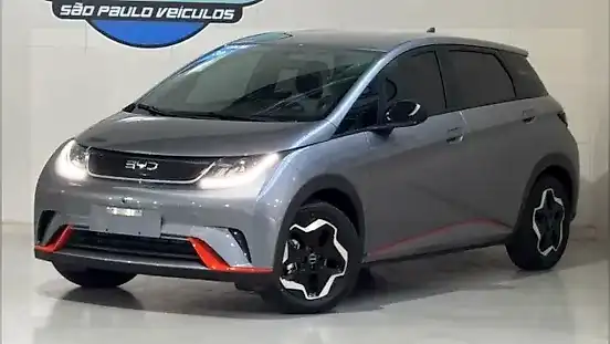 Foto de um byd dolphin