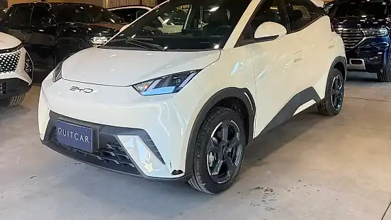 Foto de um byd dolphin