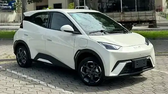 Foto de um byd dolphin mini