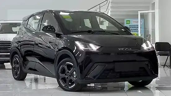 Foto de um byd dolphin mini