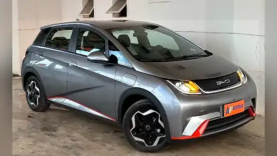 Foto de um byd dolphin