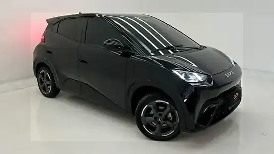 Foto de um byd dolphin mini