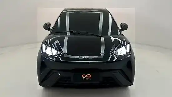 Foto de um byd dolphin mini