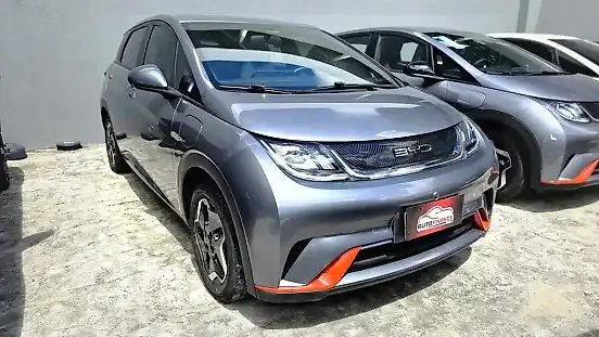 Foto de um byd dolphin