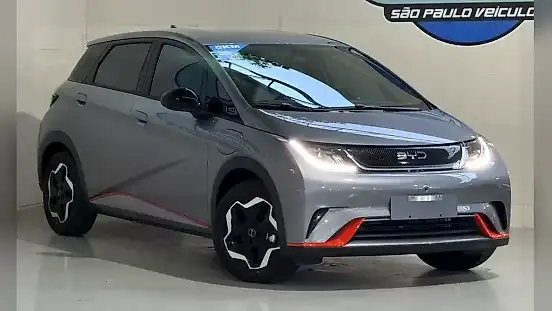 Foto de um byd dolphin