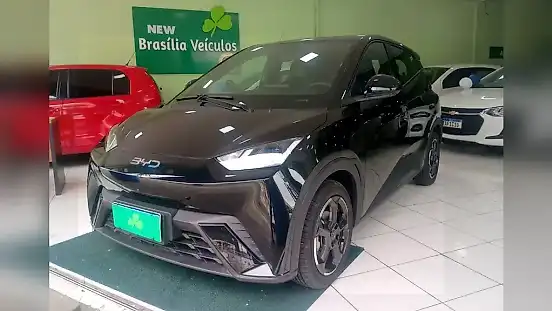 Foto de um byd dolphin mini
