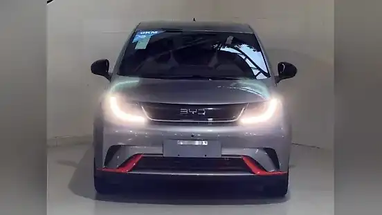 Foto de um byd dolphin