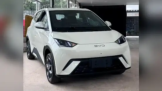 Foto de um byd dolphin mini