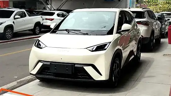 Foto de um byd dolphin mini