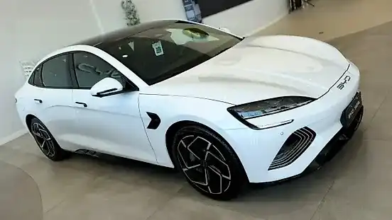 Foto de um byd seal