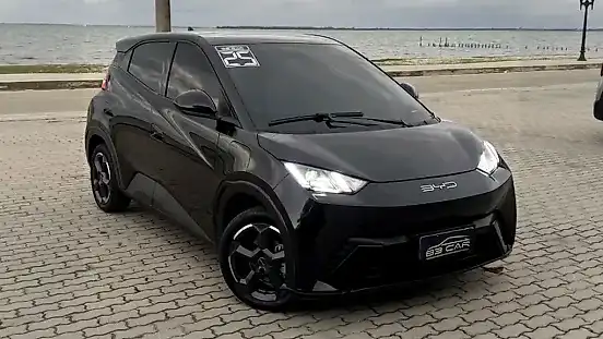 Foto de um byd dolphin mini
