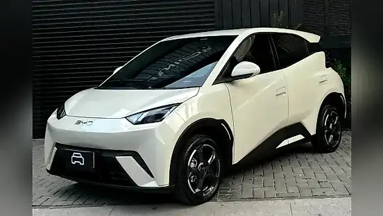 Foto de um byd dolphin mini