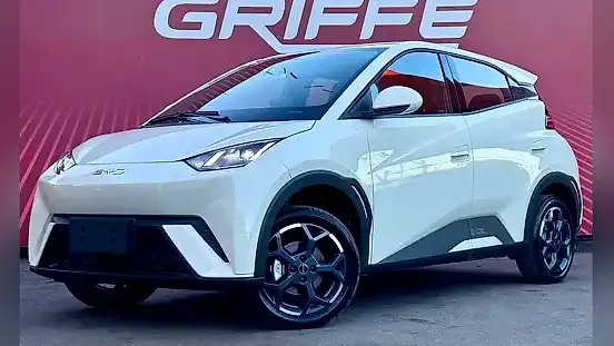 Foto de um byd dolphin mini