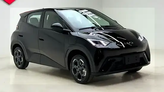 Foto de um byd dolphin mini