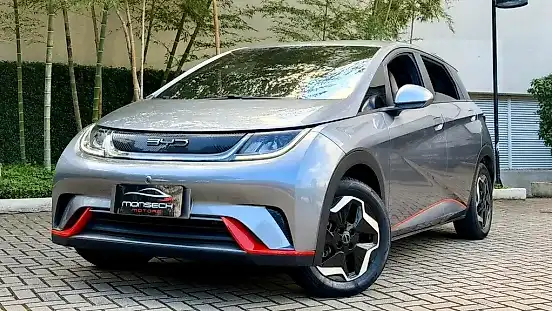Foto de um byd dolphin