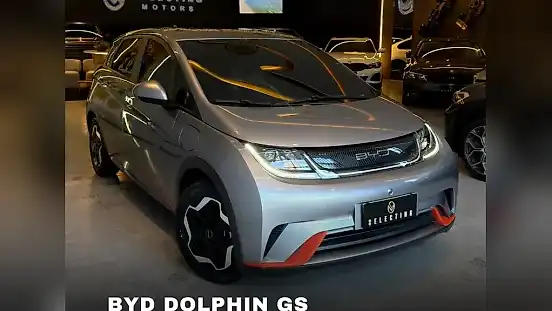 Foto de um byd dolphin