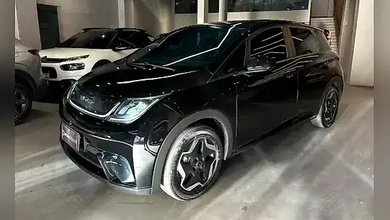 Foto de um byd dolphin