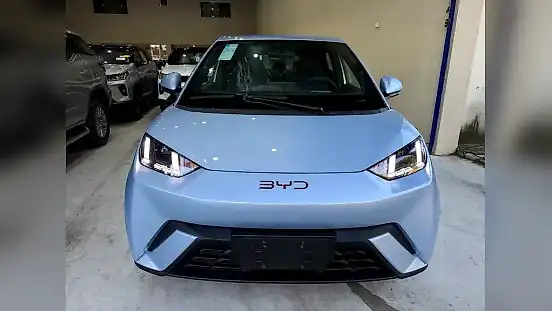 Foto de um byd dolphin mini