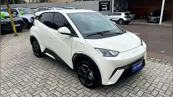 Foto de um byd dolphin mini