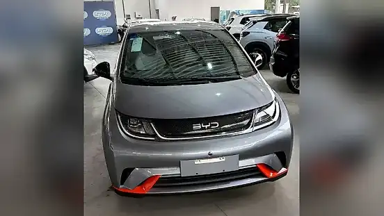 Foto de um byd dolphin