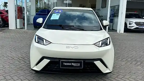 Foto de um byd dolphin mini