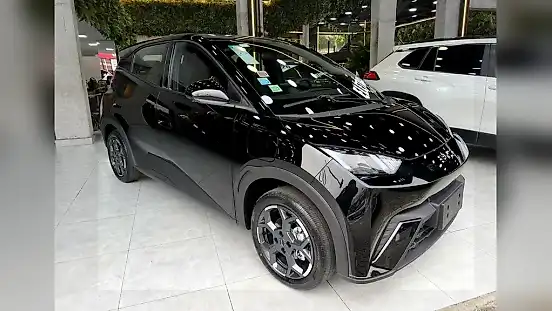 Foto de um byd dolphin mini